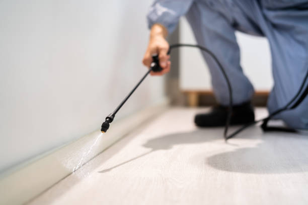 Licensed Termite Control service in Decatur, MI - Nex Pest Control