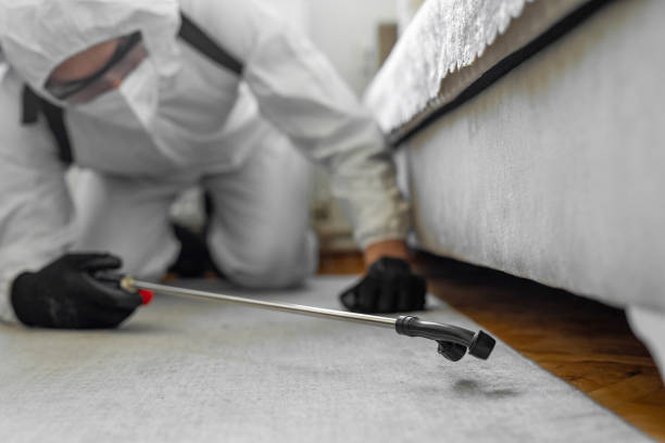 Professional Termite Control technician working in Decatur, MI