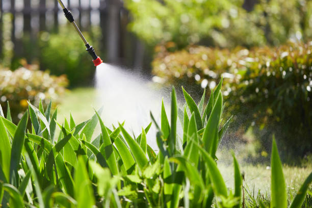 24/7 Emergency Termite Control experts in Decatur, MI