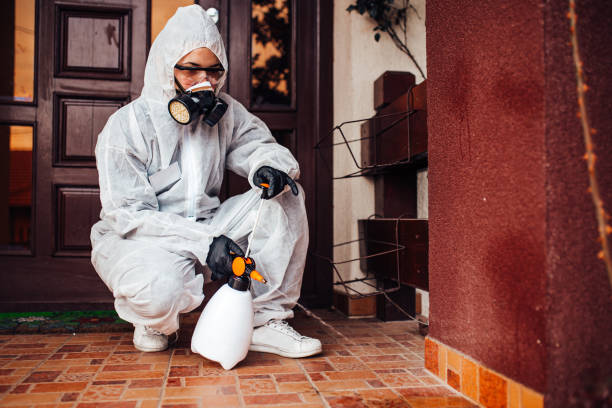 Reliable Termite Control contractor in Decatur, MI by Nex Pest Control