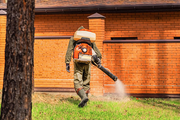 Top rated local Termite Control specialists in Decatur, MI